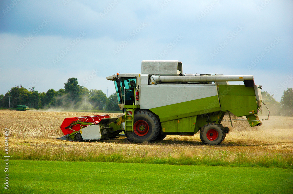 Fototapeta premium Combine harvester at work harvesting a field of wheat.