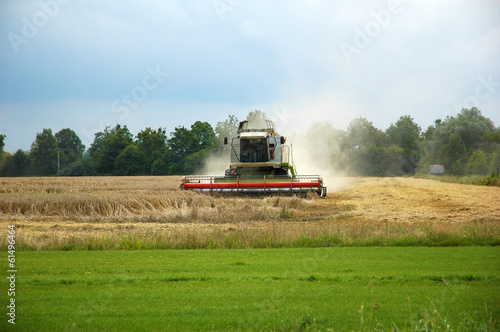 Combine harvester at work harvesting a field of wheat.