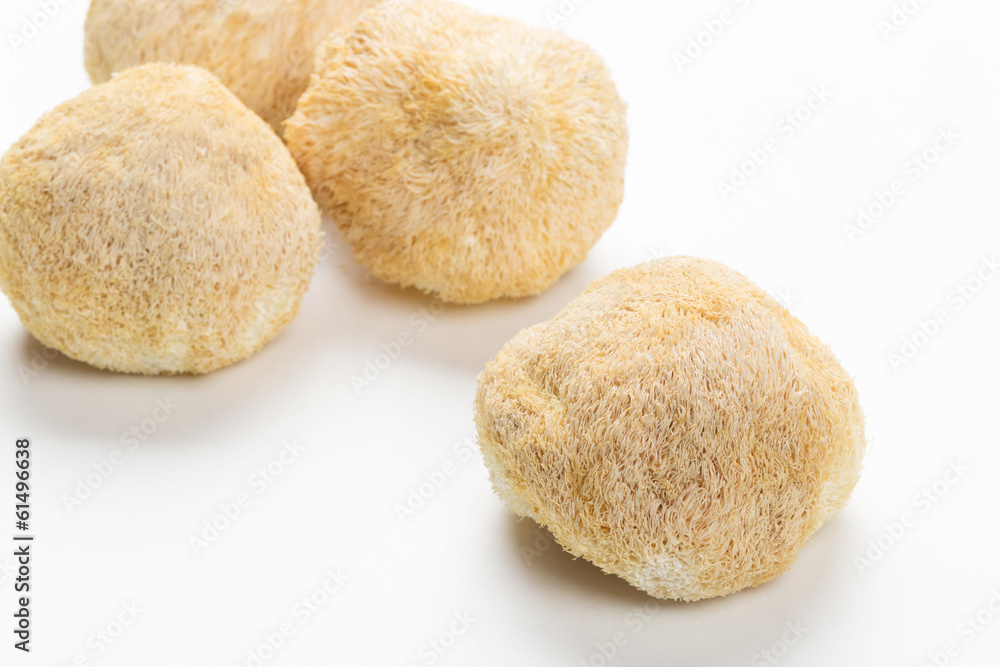 Shiitake Mushrooms Shiitake Mushrooms