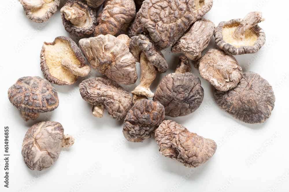 Shiitake Mushrooms Shiitake Mushrooms