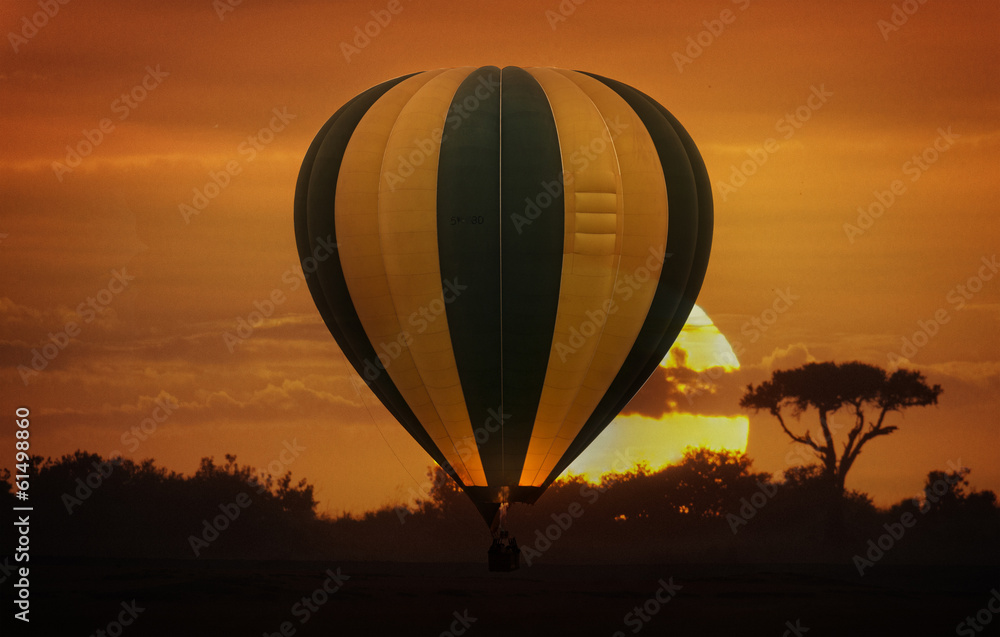 Obraz premium Balloon safari