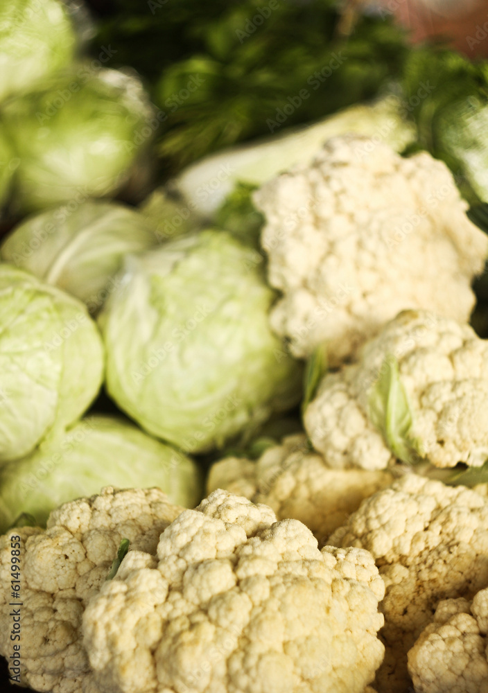 Fototapeta premium cabbages