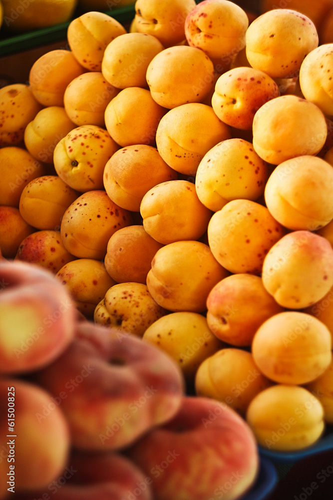 fresh orange red apricots peaches macro closeup on market summer