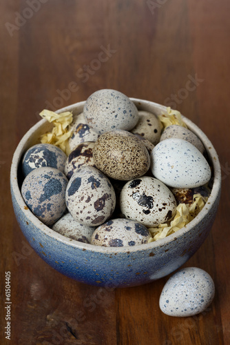bowl with fresh quail eggs, top view