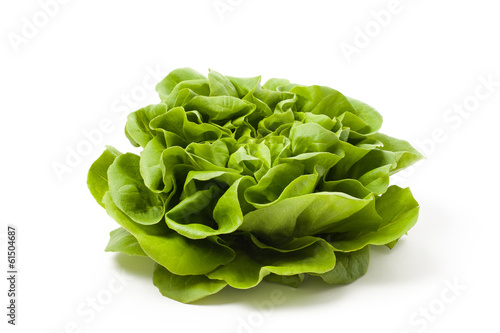 Lettuce - Photo
