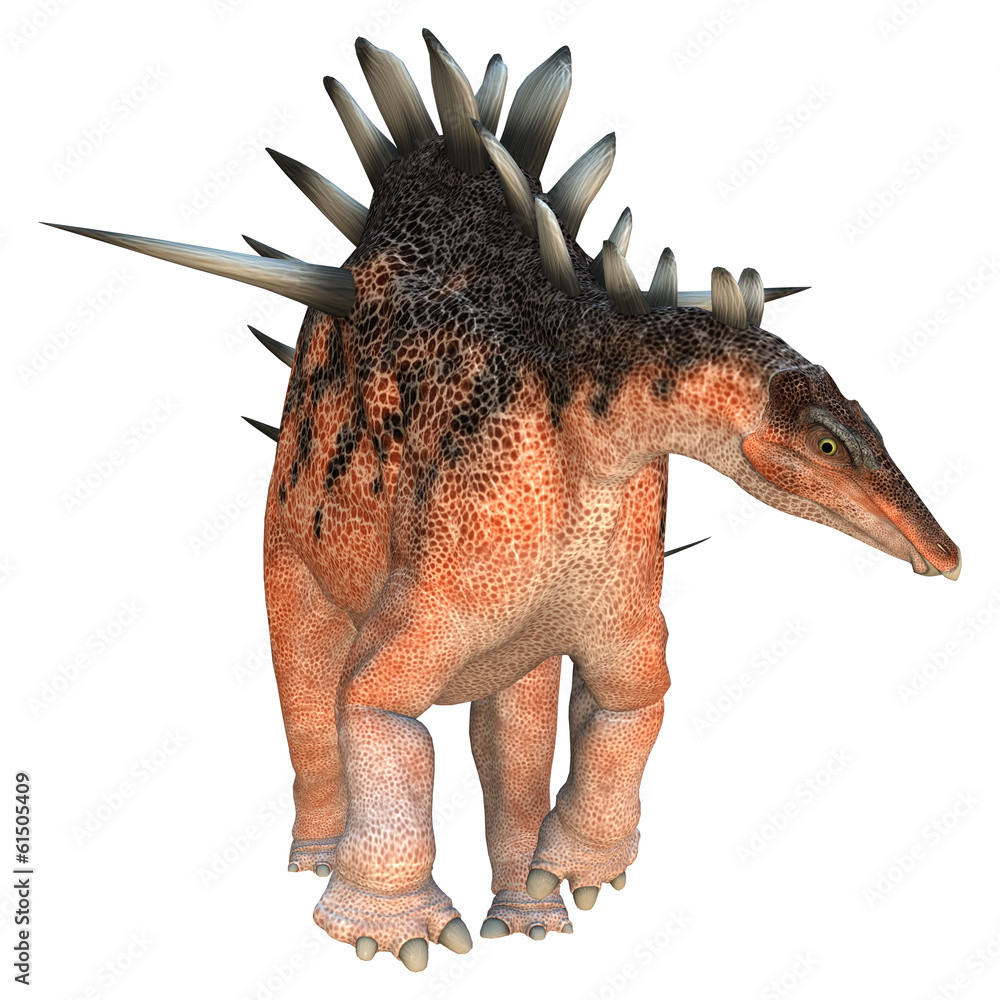 Fototapeta premium Dinosaur Kentrosaurus