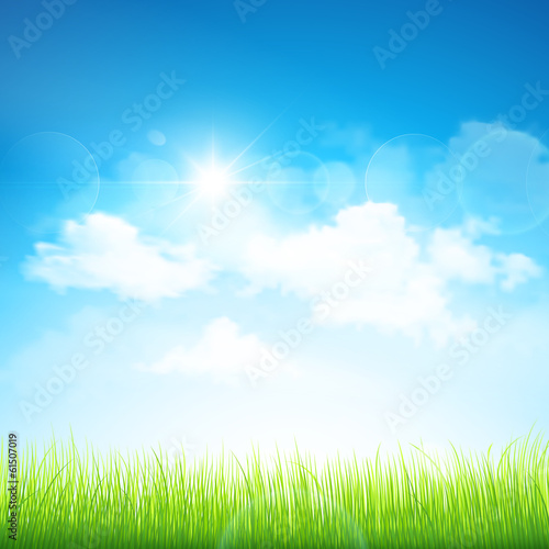 Green grass and blue sky. Vector
