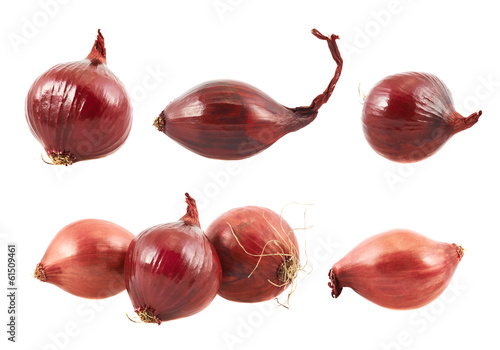 Red onion isolated