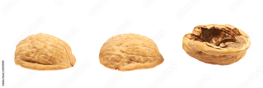 Three walnut shells isolated Three walnut shells isolated