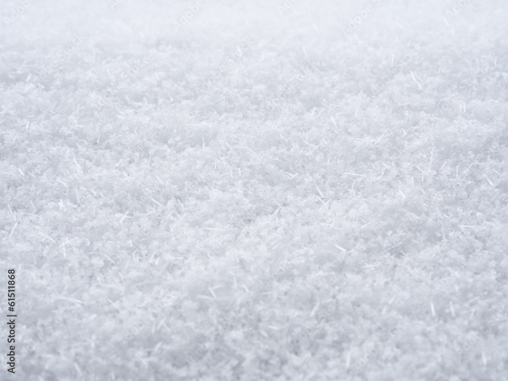 雪 雪