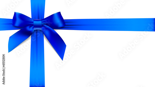 Blue bow