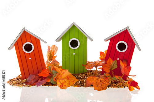 Vászonkép bird houses with seed and leaves