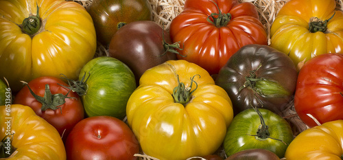 Tomates diverses