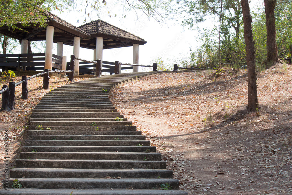 Obraz premium pathway