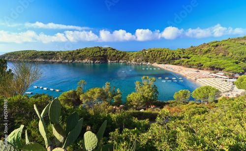 Fetovaia bay - Elba island