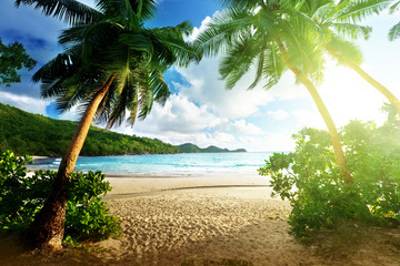 Crédence de cuisine Plage tropicale Coucher de soleil île Mahé Seychelles  © Iakov Kalinin