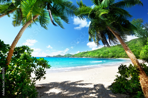 beach, Mahe island, Seychelles #61515092