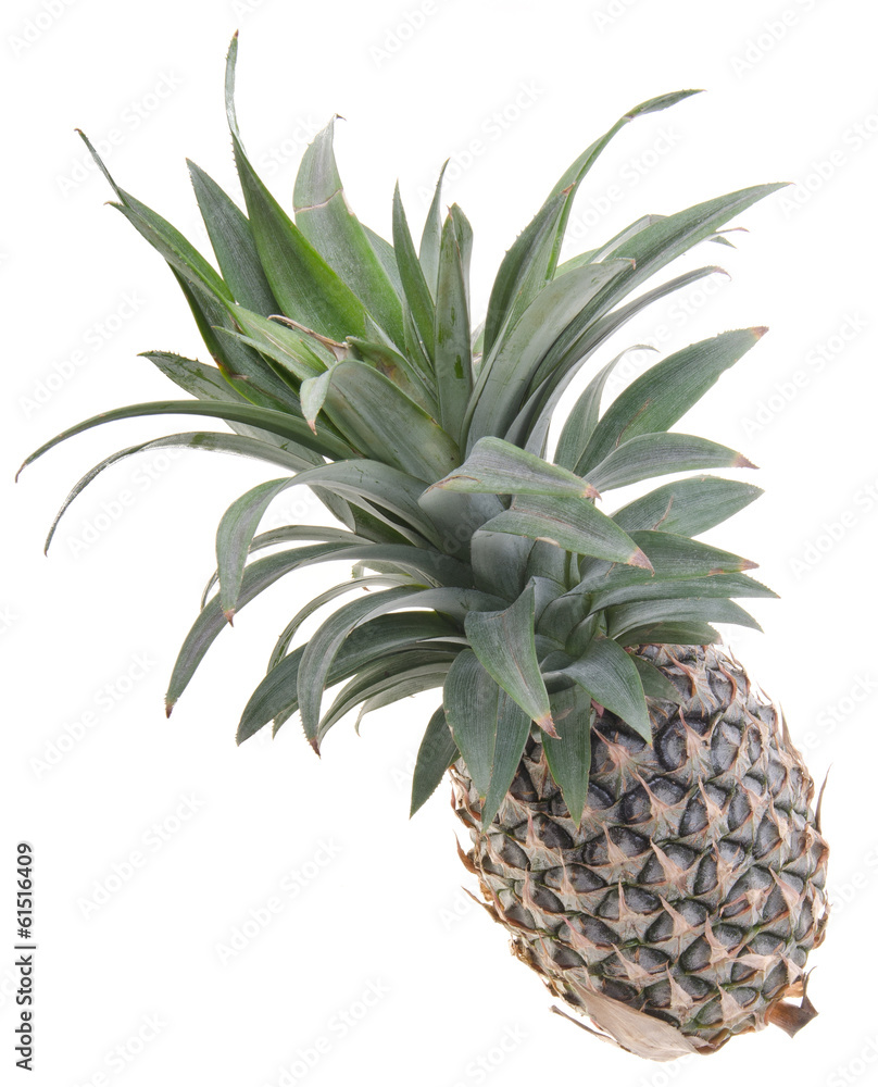 Pineapple, Pineapple tropical fruit on background Pineapple, Pineapple tropical fruit on background