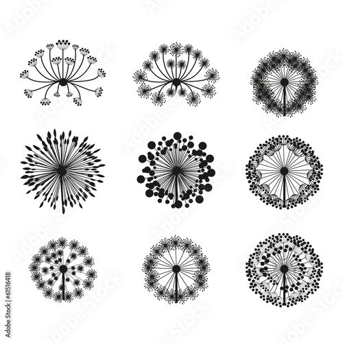 flowers design