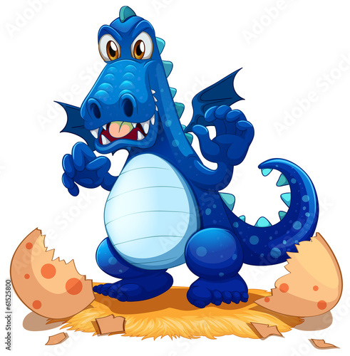 A newly hatched blue dragon