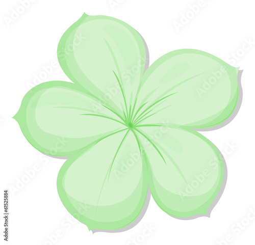 A five-petal green flower