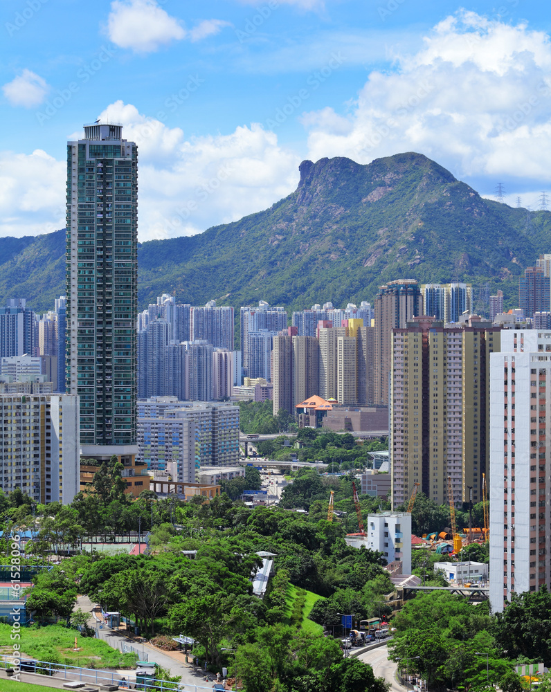 Obraz premium Kowloon side with moutain lion rock in Hong Kong