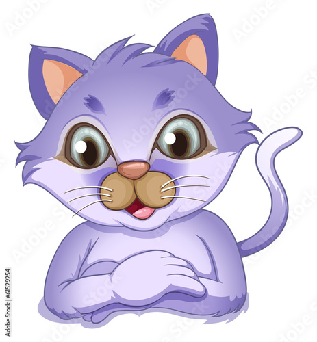 A cute cat