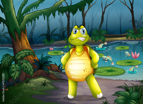 A turtle inside the forest
