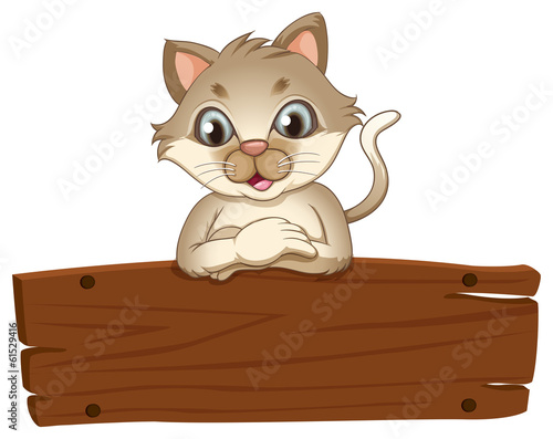 A cat with an empty wooden board