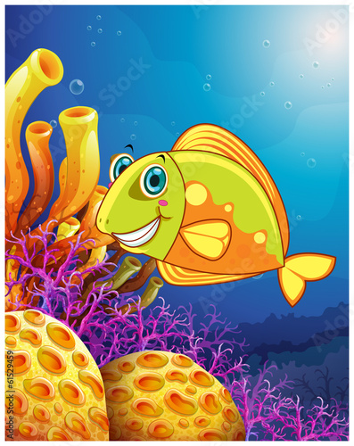 A smiling fish under the sea
