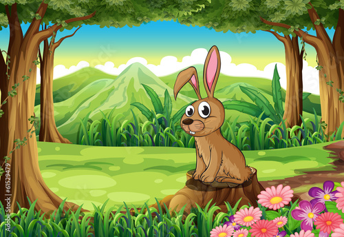 A rabbit above the stump at the forest