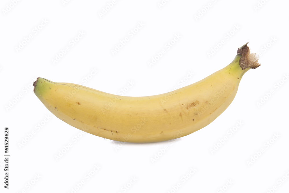 Bananas. Bananas.