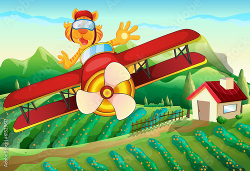 Fototapeta Naklejka Na Ścianę i Meble -  A plane with a lion flying above the farm