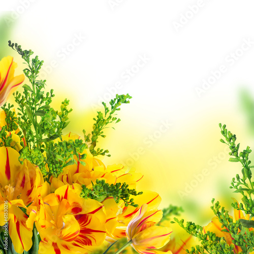 Fototapeta Naklejka Na Ścianę i Meble -  Red tulips with green grass. Floral background.