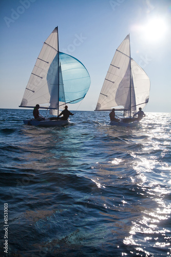 sailing Regatta
