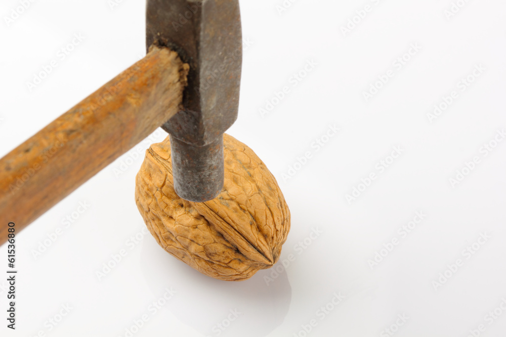 walnut with hammer on white background