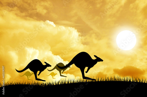 Kangaroos jumping over the sunset
