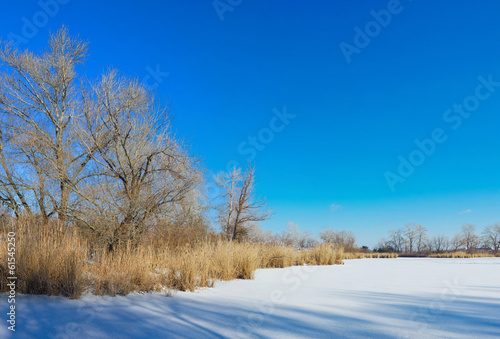 winter landscape on the lake