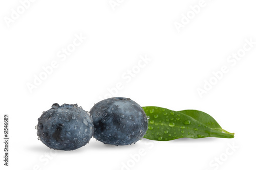 Two delicious berries photo