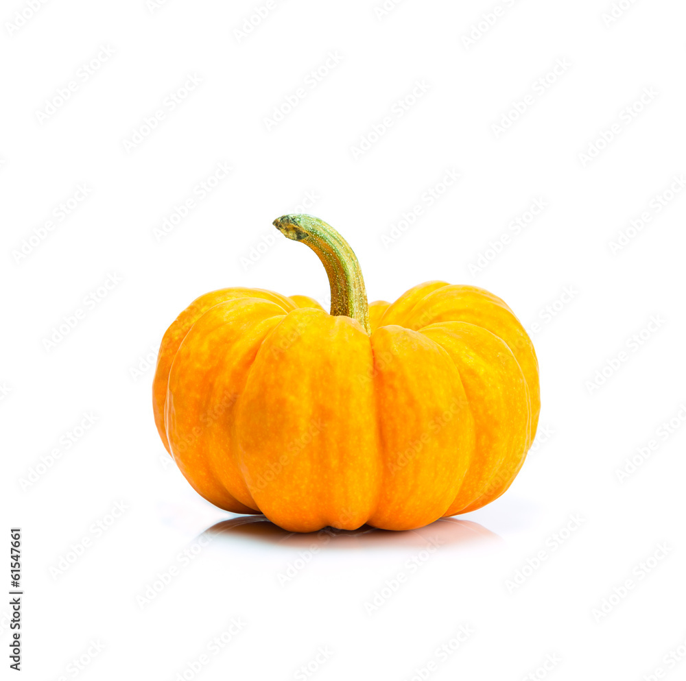 Obraz premium Miniature orange pumpkin on white