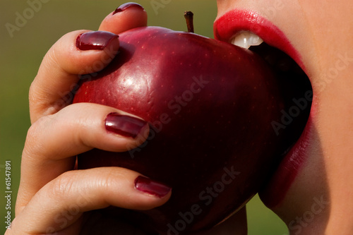 Fotografía Il peccato originale