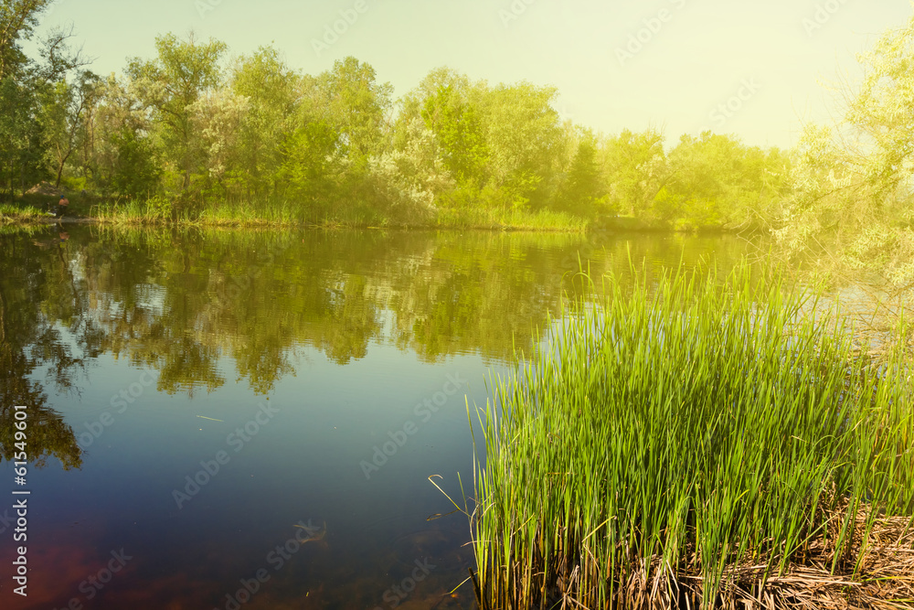 Obraz premium summer river