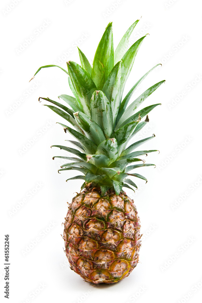Fototapeta premium pineapple