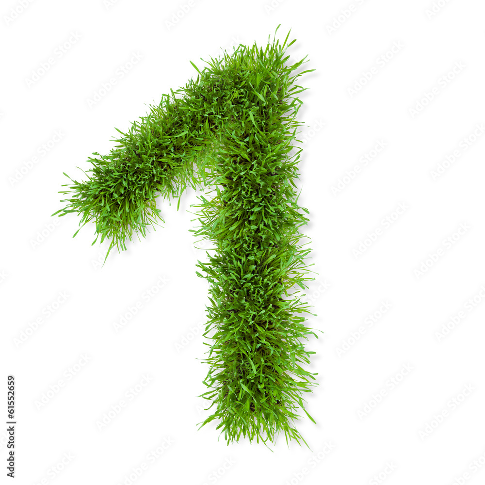 Grass number Grass number