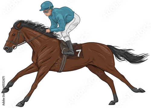 Jockey on a brown racehorse