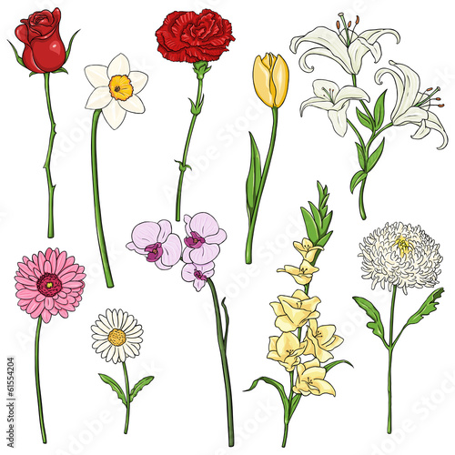 Fototapeta Naklejka Na Ścianę i Meble -  Vector Set of color Cartoon Flowers