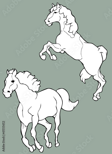 horses