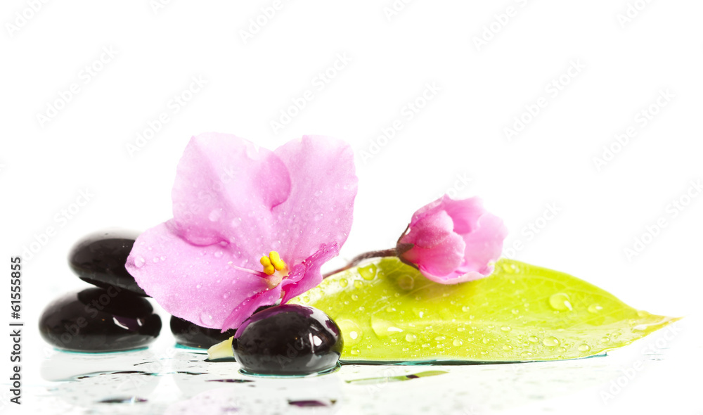 Fototapeta Spa treatment massage stones and pink flower