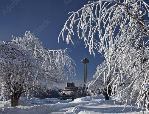 Niagara Falls Rime Ice Trees 2