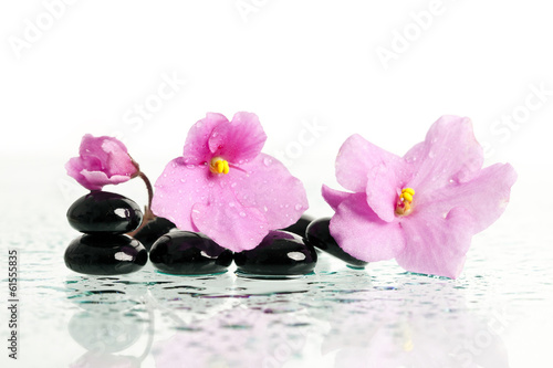 Fototapeta Naklejka Na Ścianę i Meble -  Spa treatment massage stones and pink flower